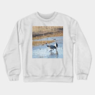 Sandhill Cranes Wading thru the Malheur NWR Crewneck Sweatshirt